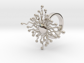 Maratha - Bjou Designs in Rhodium Plated Brass