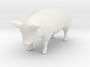 1-64 special pig in White Natural Versatile Plastic