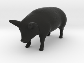 1-64 special pig in Black Premium Versatile Plastic