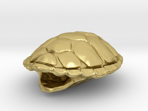 Turtle Shell Pendant in Natural Brass
