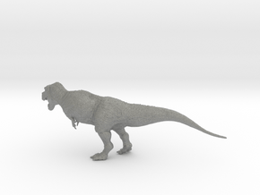 Tyrannosaurus rex in Gray PA12: Extra Small