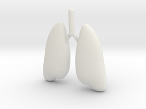 Lung in White Natural Versatile Plastic