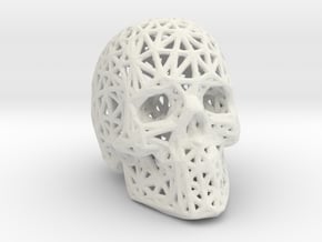 Human Skull with Pattern in White Natural Versatile Plastic