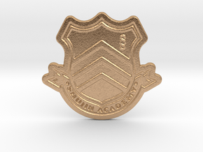 Persona 5 Shujin Academy Badge in Natural Bronze