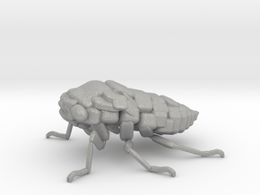 Cicada! The Somewhat Square-ish Sculpture in Aluminum
