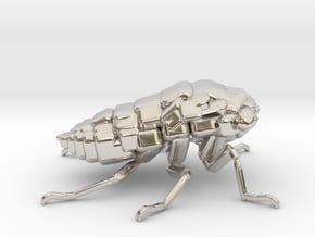 Cicada! The Somewhat Smaller Square-ish Sculpture in Platinum