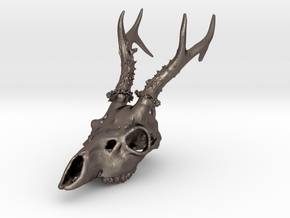 Capreolus skull with teeth in Polished Bronzed-Silver Steel