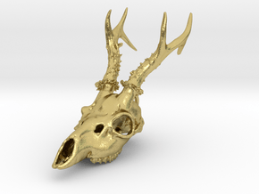 Capreolus skull with teeth in Natural Brass