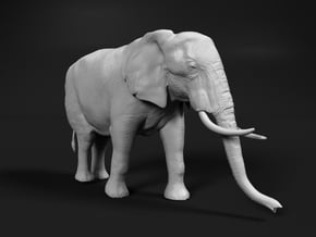 African Bush Elephant 1:9 Walking Female in White Natural Versatile Plastic