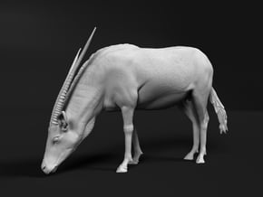 Gemsbok 1:64 Drinking Female in Tan Fine Detail Plastic