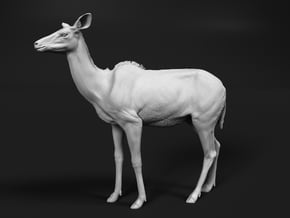 Greater Kudu 1:22 Chewing Female in White Natural Versatile Plastic