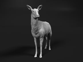 Waterbuck 1:22 Standing Female in White Natural Versatile Plastic