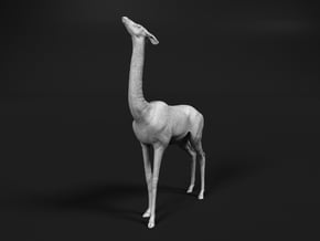 Gerenuk 1:64 Female feeding on four legs in Tan Fine Detail Plastic