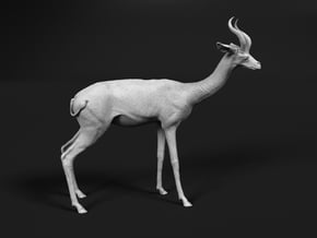 Gerenuk 1:20 Standing Male in White Natural Versatile Plastic