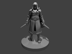 Human Rogue 4 -  Assassin in Smooth Fine Detail Plastic