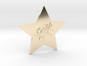 star-cancer in 14k Gold Plated Brass