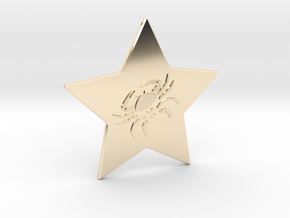 star-cancer in 14K Yellow Gold