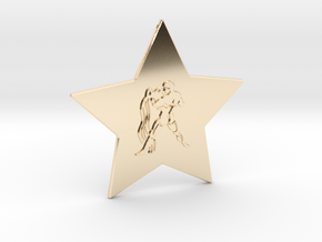 star-aquarius in 14k Gold Plated Brass