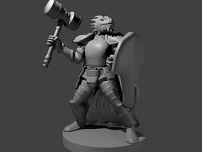 Dragonborn Fighter with Hammer and Shield in Smooth Fine Detail Plastic