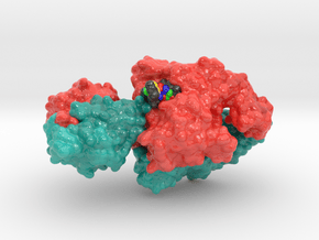 Topoisomerase II DNA Complex 4GFH in Glossy Full Color Sandstone: Small