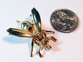 Yellow Jacket Pendant in Polished Brass