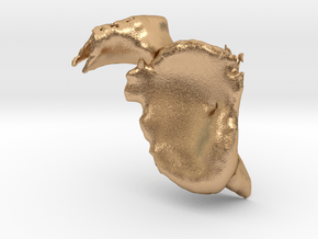 Scapula-Bone in Natural Bronze