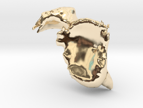 Scapula-Bone in 14k Gold Plated Brass