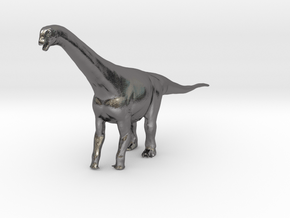 Camarasaurus in Polished Nickel Steel