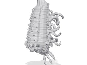 Wvurm Kraken - Concept A in Tan Fine Detail Plastic