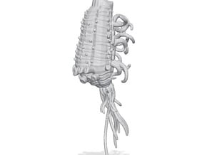 Wvurm Kraken - Concept B in Tan Fine Detail Plastic