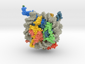 Nucleosome 1kx5 Methyl Groups in Glossy Full Color Sandstone: Medium