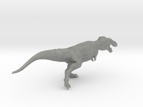 Tarbosaurus Bataar in Gray PA12: Small