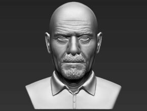 Walter White from Breaking Bad bust in White Natural Versatile Plastic