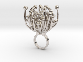 Fordy - Bjou Designs in Rhodium Plated Brass