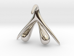 Anatomy of the Clitoris in Rhodium Plated Brass