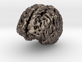 Brain MRI in Polished Bronzed Silver Steel