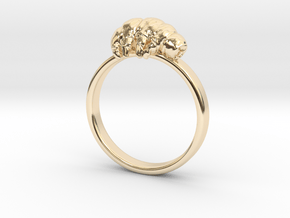 Tardigrade ring in 14k Gold Plated Brass