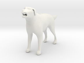 Printle Animal  Dog 03 - 1/24 in White Natural Versatile Plastic