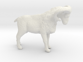 S Scale (1:64) Bighorn Sheep Ram in White Natural Versatile Plastic
