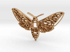 Hawkmoth in Natural Bronze