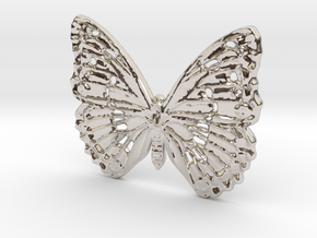 Tropical butterfly in Platinum: Medium