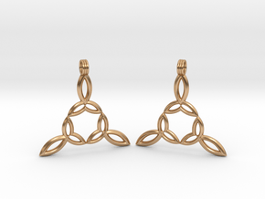 Earrings in Polished Bronze