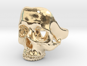 Skull Ring (fine) in 14K Yellow Gold: 9 / 59