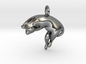 cat_018 in Polished Silver
