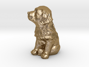 Puppy in Polished Gold Steel: Small