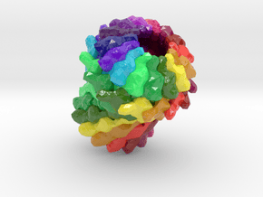 General Secretion Pathway Protein GspD (Large) in Glossy Full Color Sandstone