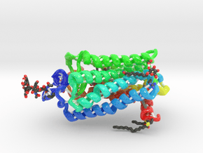 Encephalopsin Protein (Large) in Glossy Full Color Sandstone