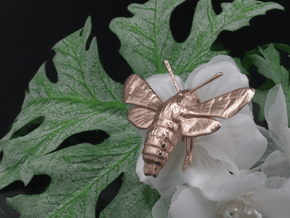 Hummingbird Hawk-Moth Pendant (hollow version) in 14k Rose Gold Plated Brass