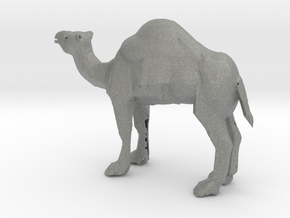 HO Scale Camel in Gray PA12