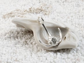 Ceratium Dinoflagellate Pendant - Science Jewelry in Natural Silver